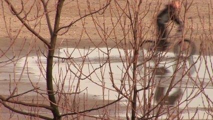 0036-bord_de_mer_jour_soleil_dunkerque