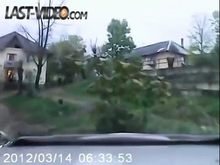 Un sanglier sauvage attaque des Russes dans la rue