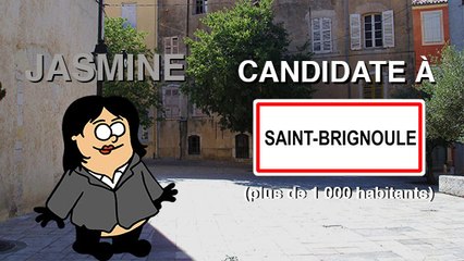 L'élection d'un maire dans une ville de plus de 1000 habitants (expliquée en patates)