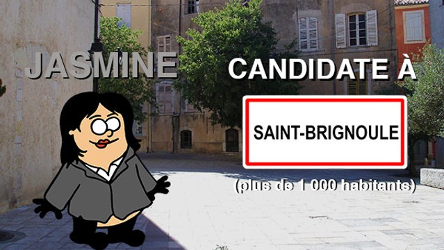 L'élection d'un maire dans une ville de plus de 1000 habitants (expliquée en patates)