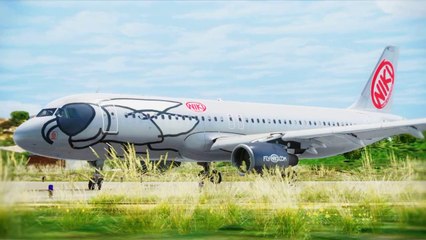 FSX Fly Niki A320 Landing @ Skiathos ( HD )