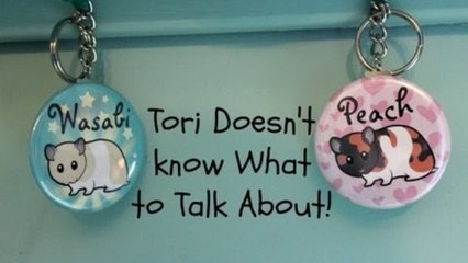 Tori Doesn't know what to talk about! | Vlogs