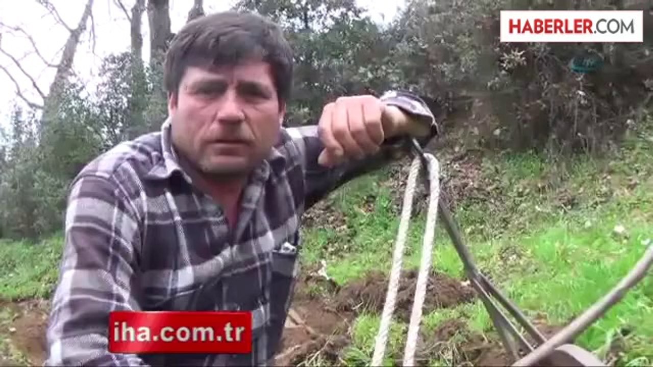 Aydın'da Karasaban Dönemi Devam Ediyor