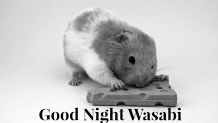Good Night Wasabi