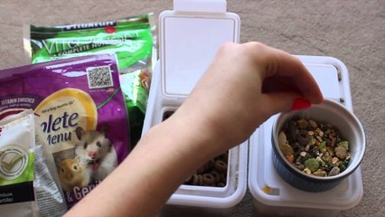 MY HAMSTER'S DIET | February 2014