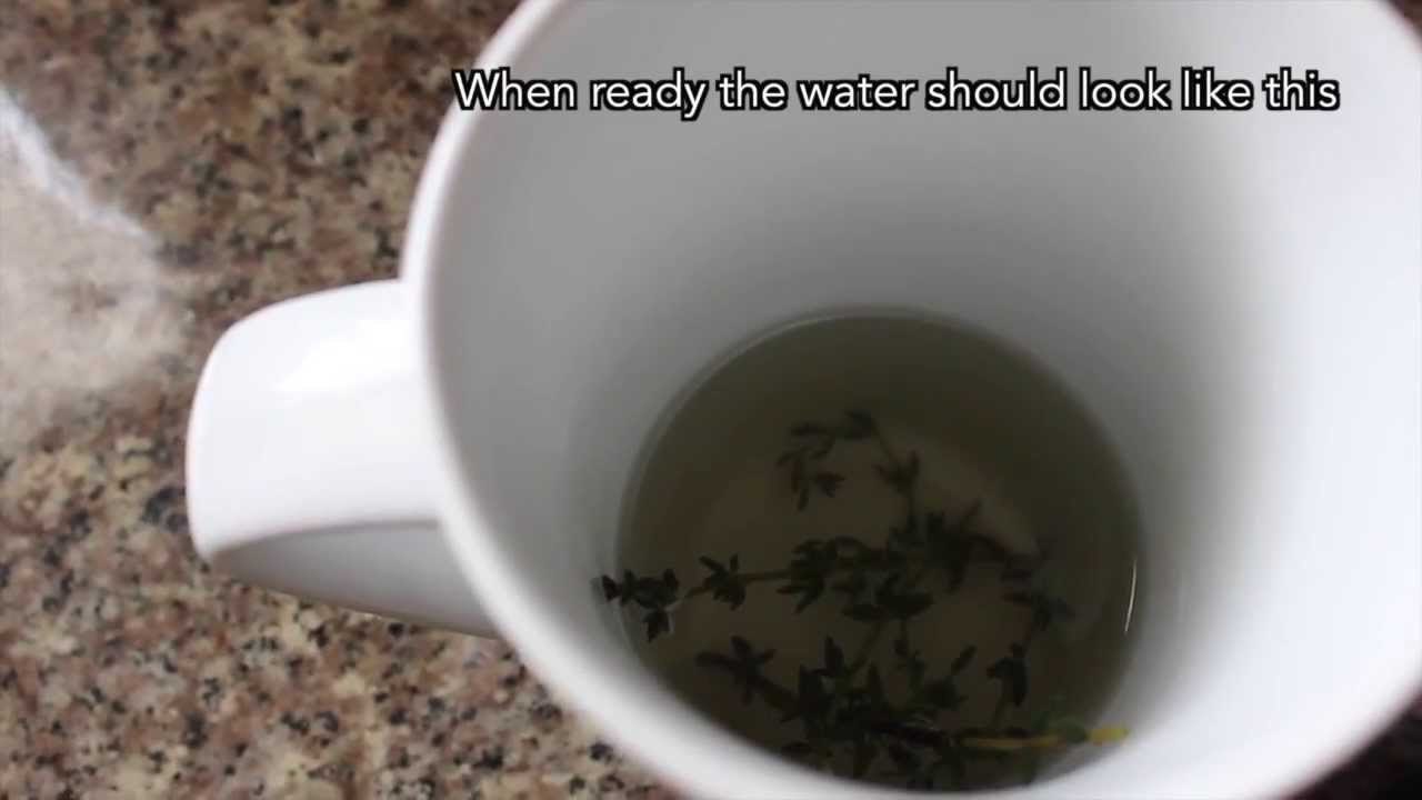 THYME FOR HAMSTERS video Dailymotion