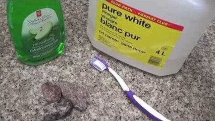 SANITIZING OUTDOOR ITEMS | For Hamsters