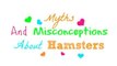 Hamster Myths and Misconceptions