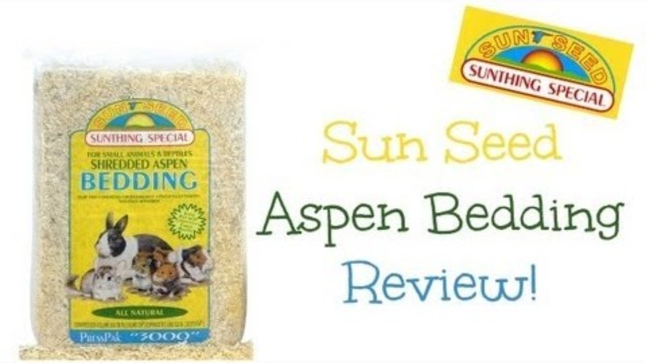 Review: SunSeed Aspen