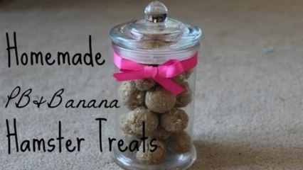 PB & Banana Hamster Cookies!