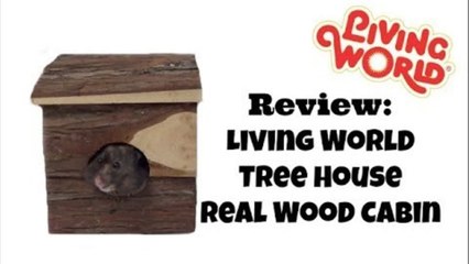 Review: Living World Tree House Real Wood Cabin