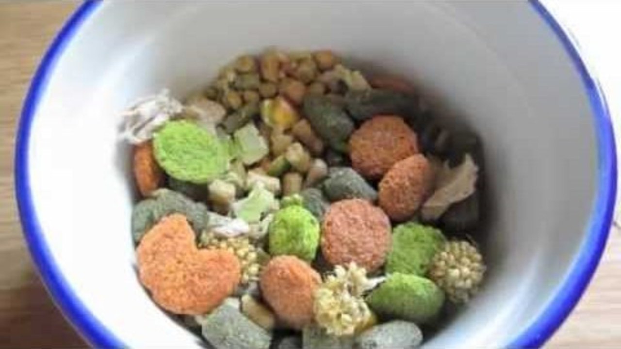 Peach and Wasabi's Diet | August 2012