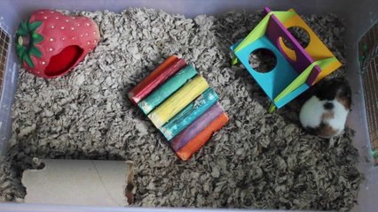 Google + sucks! | Vlogs