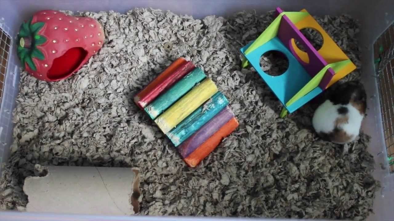 Google + sucks! | Vlogs