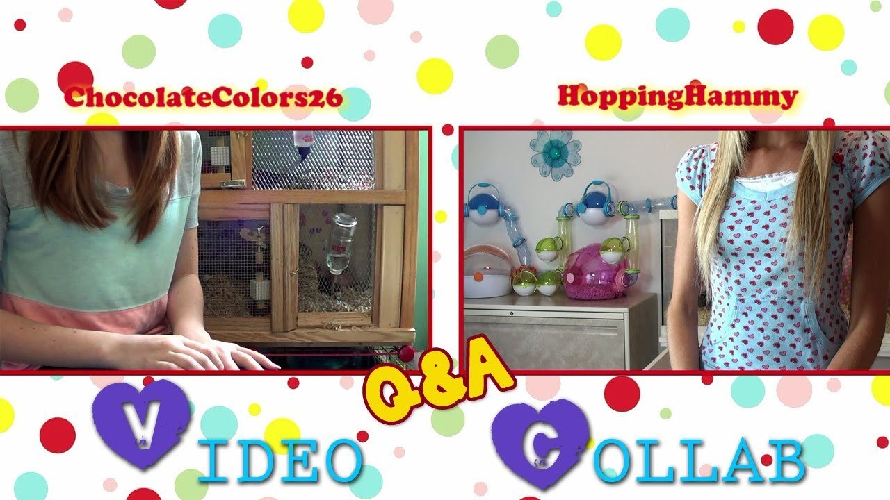 Q&A Collaboration with HoppingHammy!