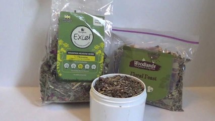 Safe plants and herbs for hamsters