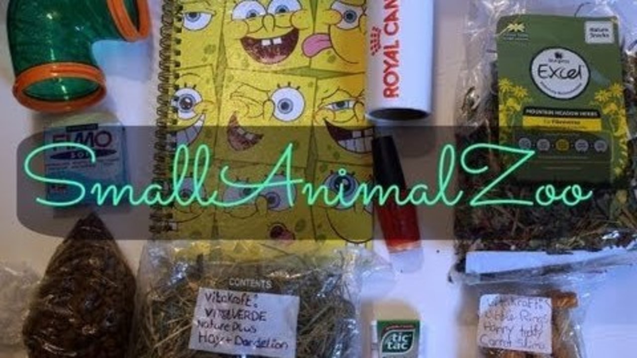 Package From SmallAnimalZoo!