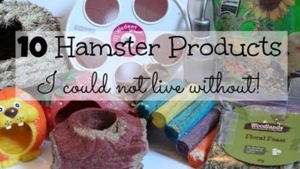 10 Hamster products I COULDN'T LIVE WITHOUT!