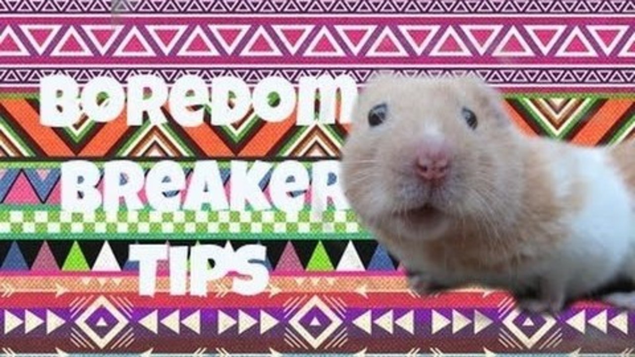 Boredom Breaker tips!