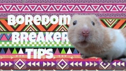 Boredom Breaker tips!