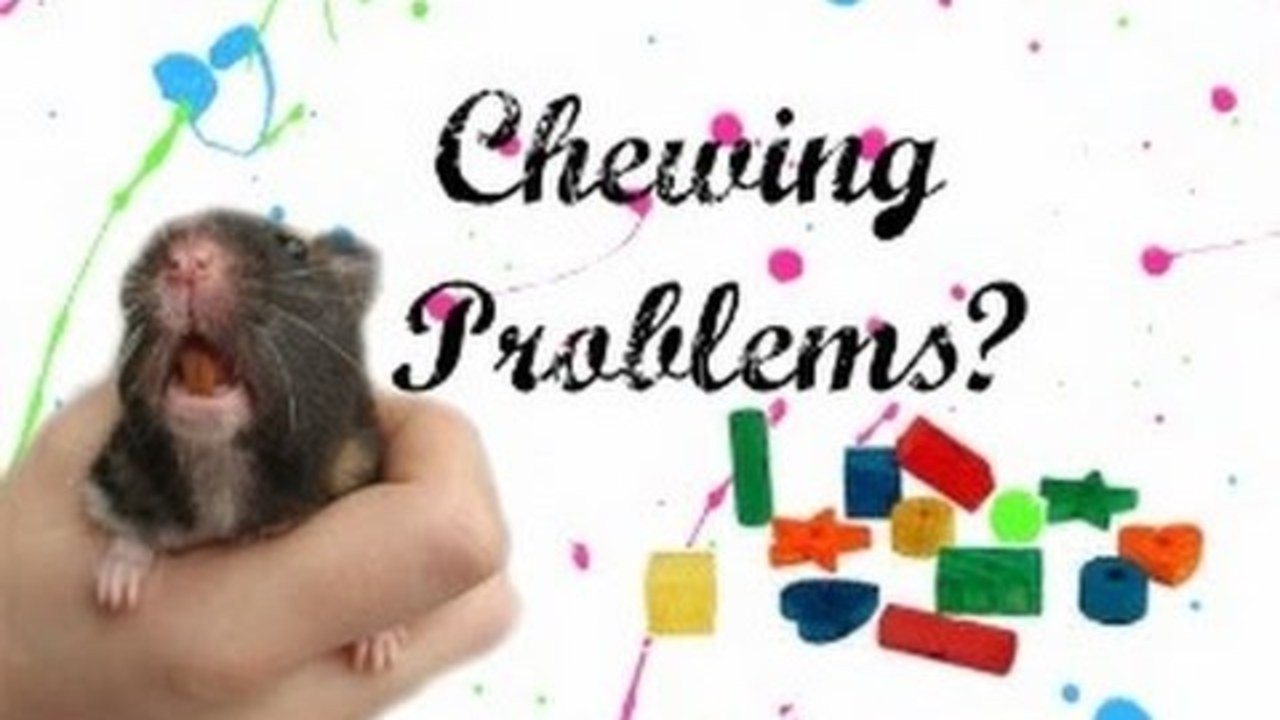 Chewing Problems?