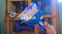 How to Clean a Hamster Cage