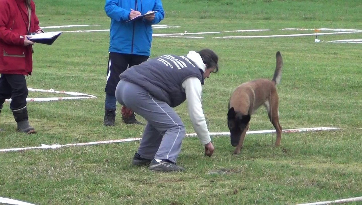 faune championnat de france cavage 2014