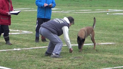 faune championnat de france cavage 2014