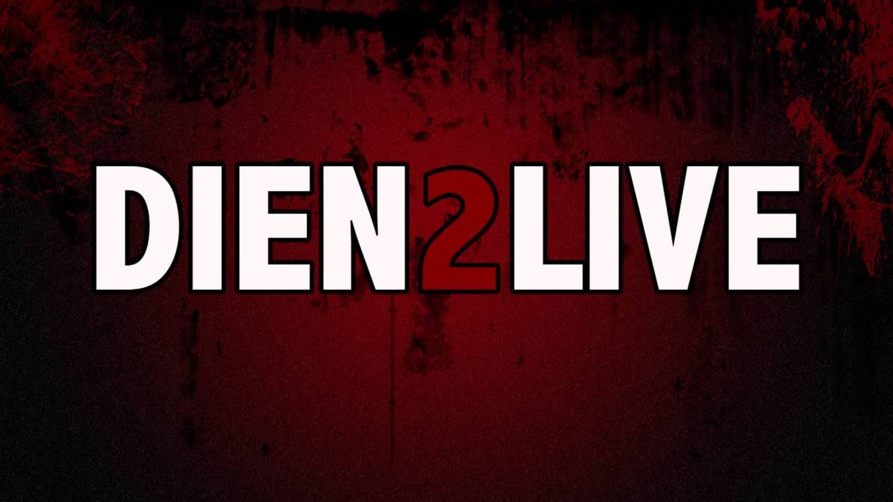 DieN2LivE: Version 2013