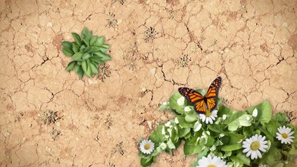 Envelope Printing in Wall NJ, from Highridge Graphics