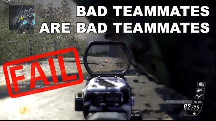 Bad Teammates are Bad Teammates