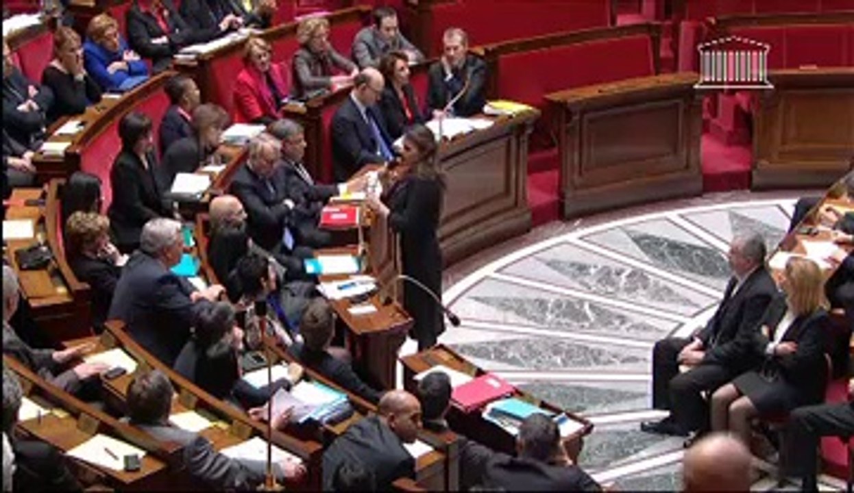 Question au Gouvernement 26/02 : Transfert au Panthéon