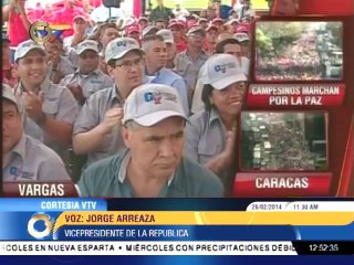 Vicepresidente Arreaza: Es un exabrupto quitarle el carnaval al pueblo