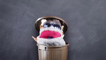 Bekenntnisse eines Mülleimers - Münster