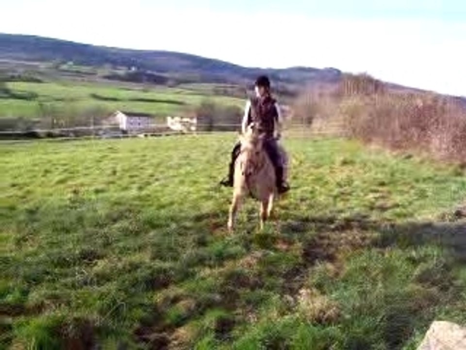 tour au trot
