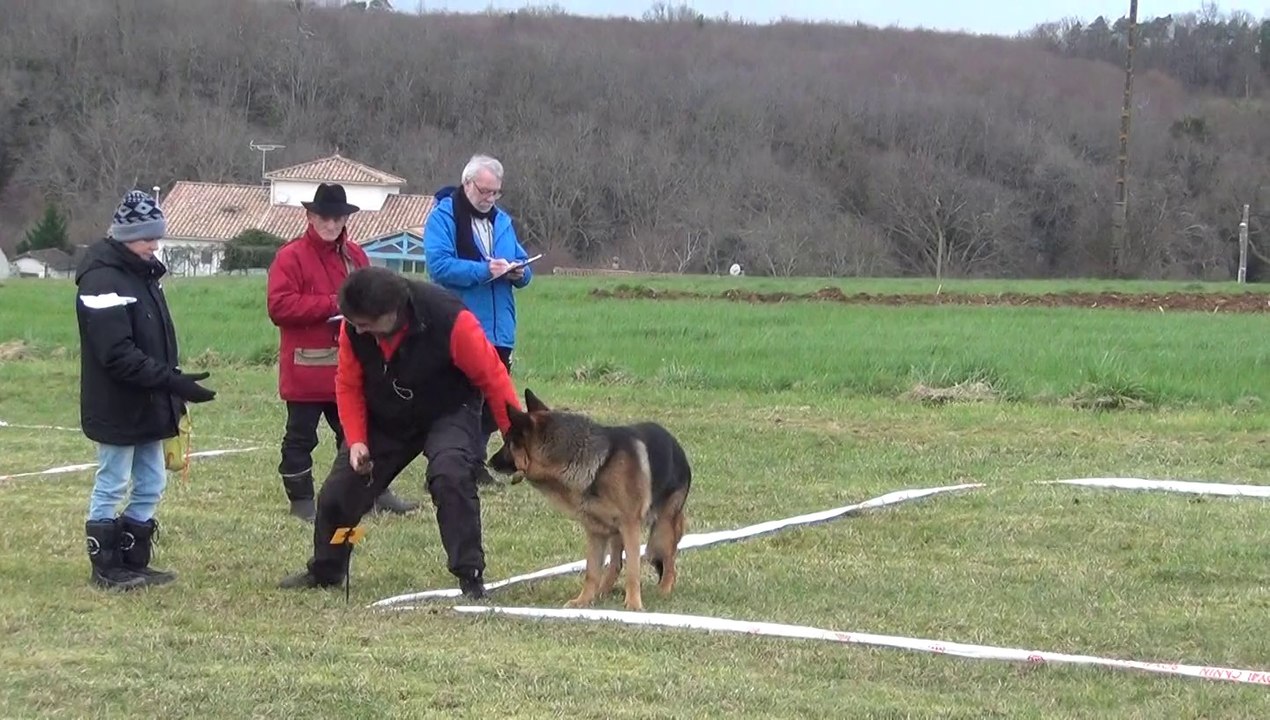 brasero championnat de france cavage 2014