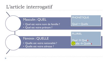 French Step-by-Step Lesson 12: Master Your Skills 🇫🇷