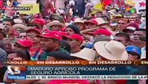Aprueba Maduro programas para aumentar producción agrícola venezolana