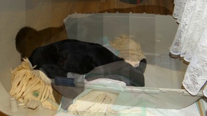 Die letzten 24 Stunden