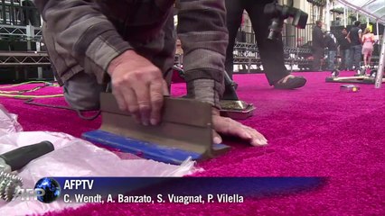 Expectativa para o tapete vermelho