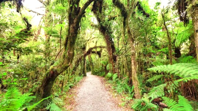 ministry of civil defence - Auckland - Auckland MINISTRY OF CIVIL DEFENCE
