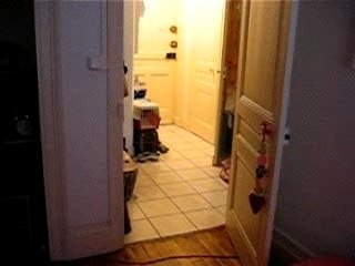 Nenya ramène la baballe!