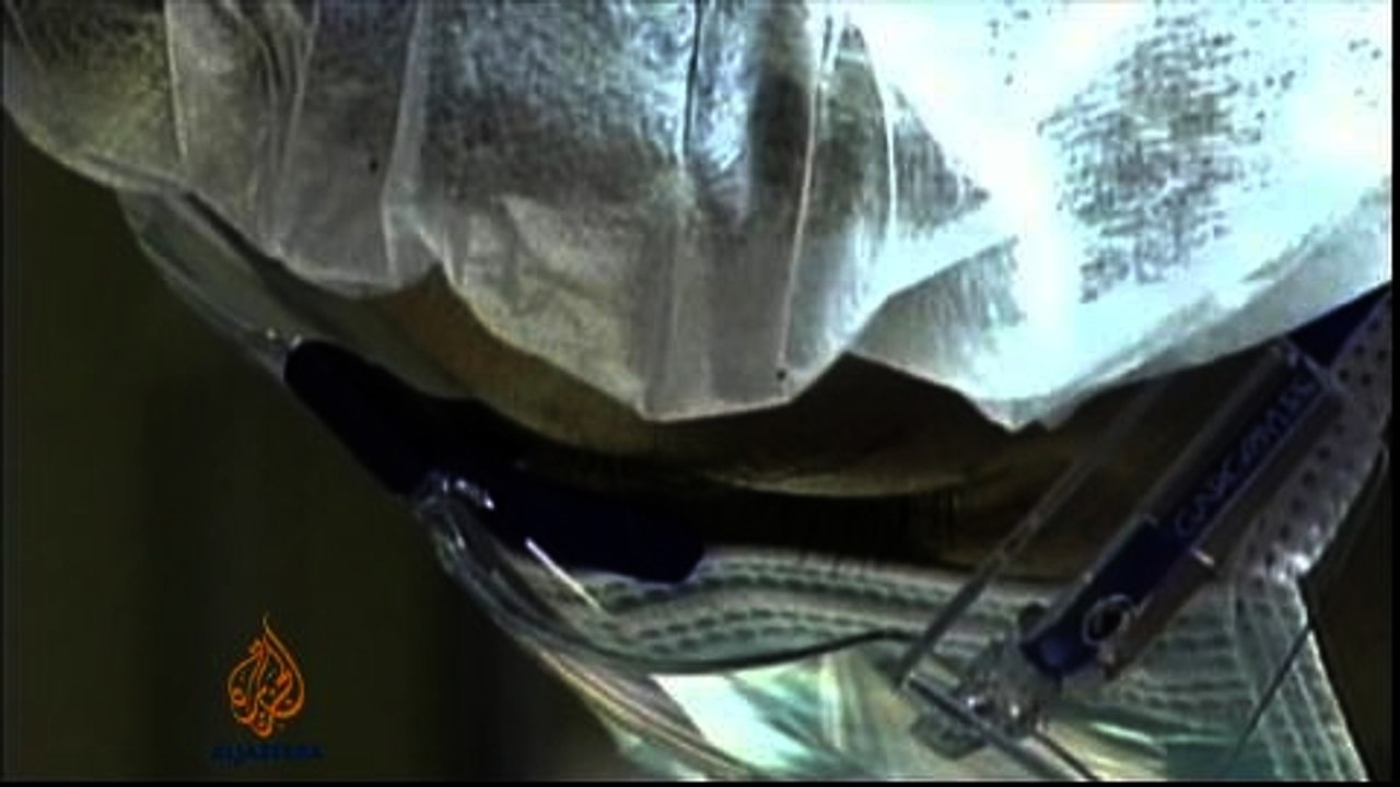 US debates 'designer babies' ethics