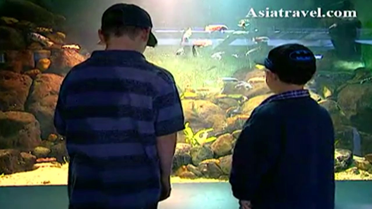 North Queensland Road Trip, Australia by Australia