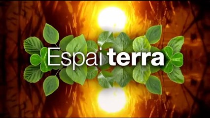 Espai Terra. dimecres 26 de febrer