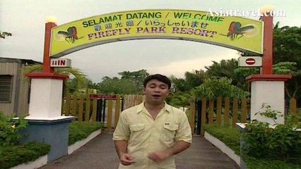 Firefly Park Resort Kuala Selangor, Malaysia by Asiatravel.com