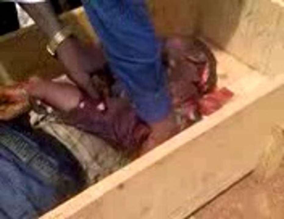 GENOCIDE-RCA |  ‎lundi ‎6 ‎janvier ‎2014 à 12:12:02 à Bassangoa RCA  ‏‎video TOL