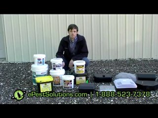 Rat Bait Rodenticides | ePestSolutions