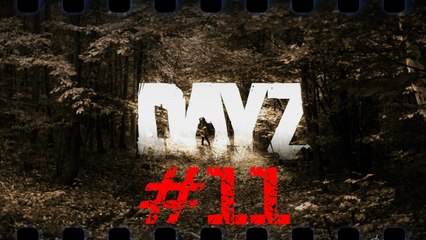 TOKi Evleri, Pipsi ve Spite | DayZ #11