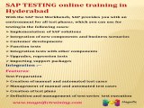 SAP TESTING Online Training in USA - Newyork